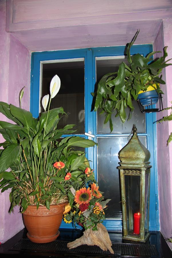 Hostel El Bocado 腓特烈港 外观 照片